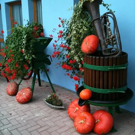Chambres D'hotes Melodies D'alsace * Lipsheim